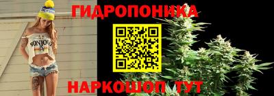 дмт Аша